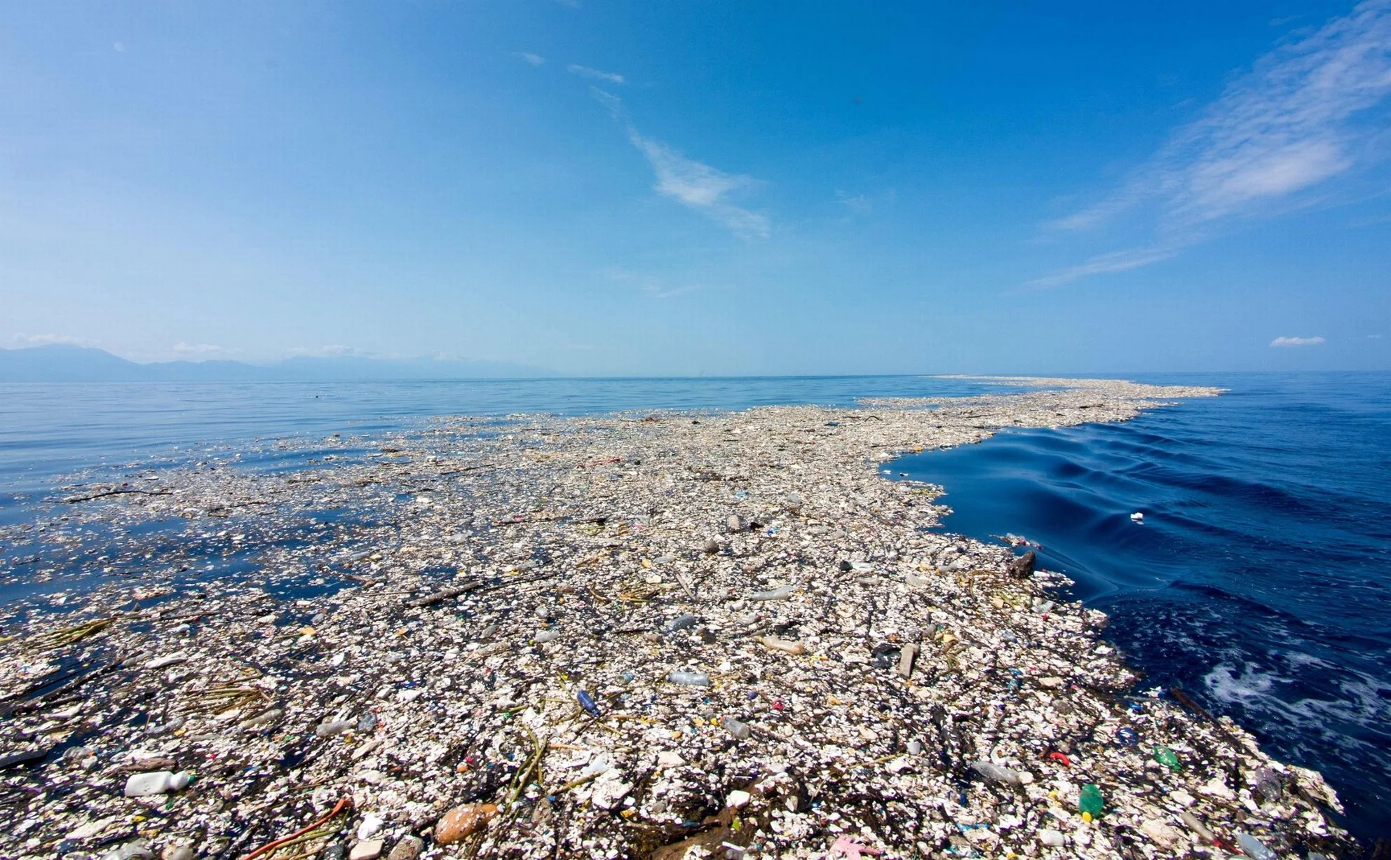 Tides of plastic rubbish collect in the Caribbean sea. Photo taken by Caroline Power