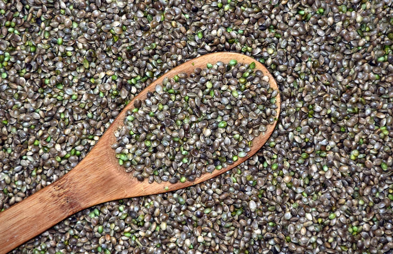 Image: Hemp Seeds