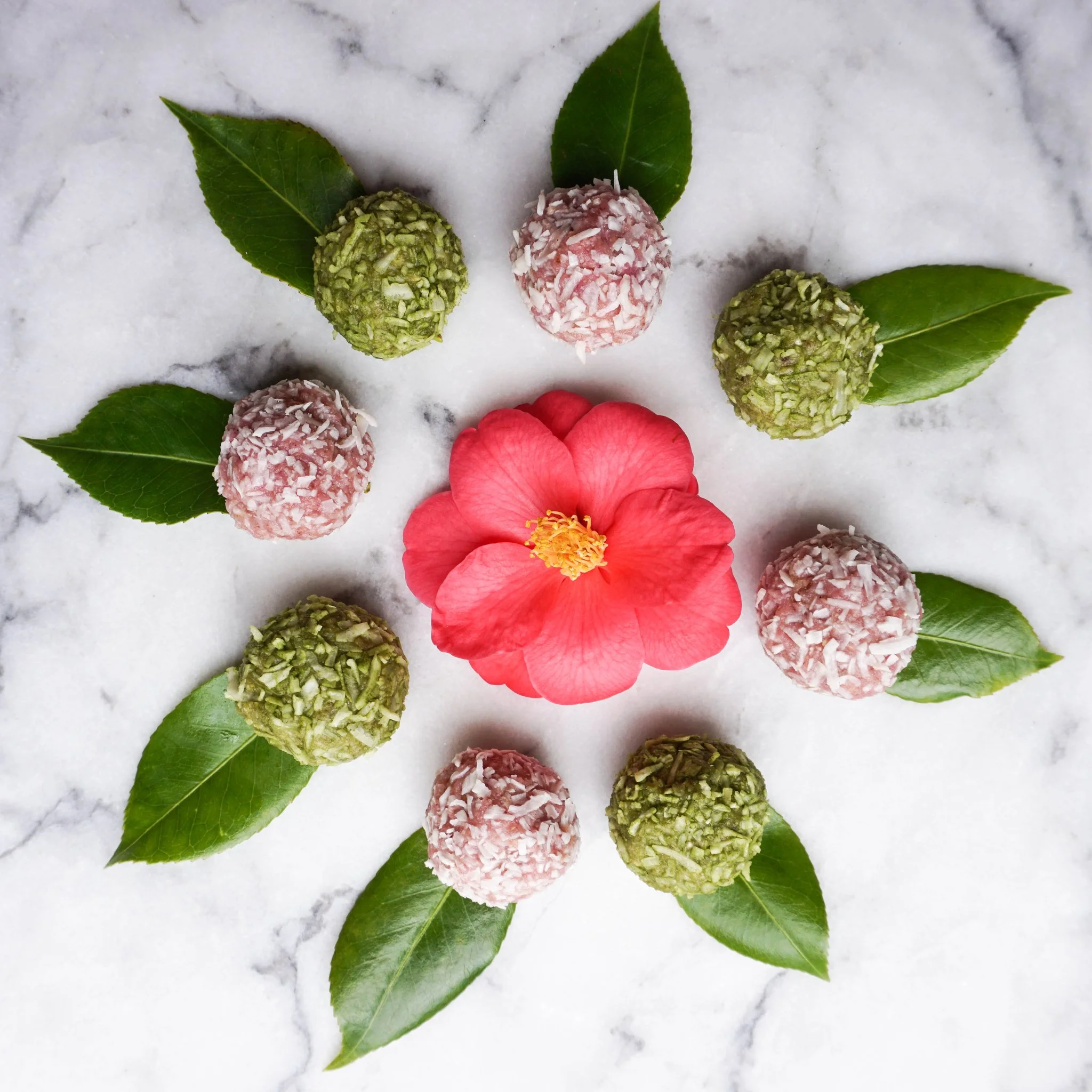 Image: Bliss Balls Containing Hemp Derived Oil - Recipe by Holistic Educator and Plant Advisor Kyrious