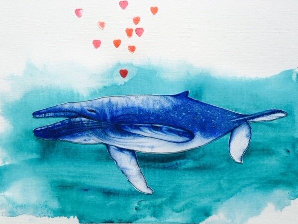baleine bleue.jpg