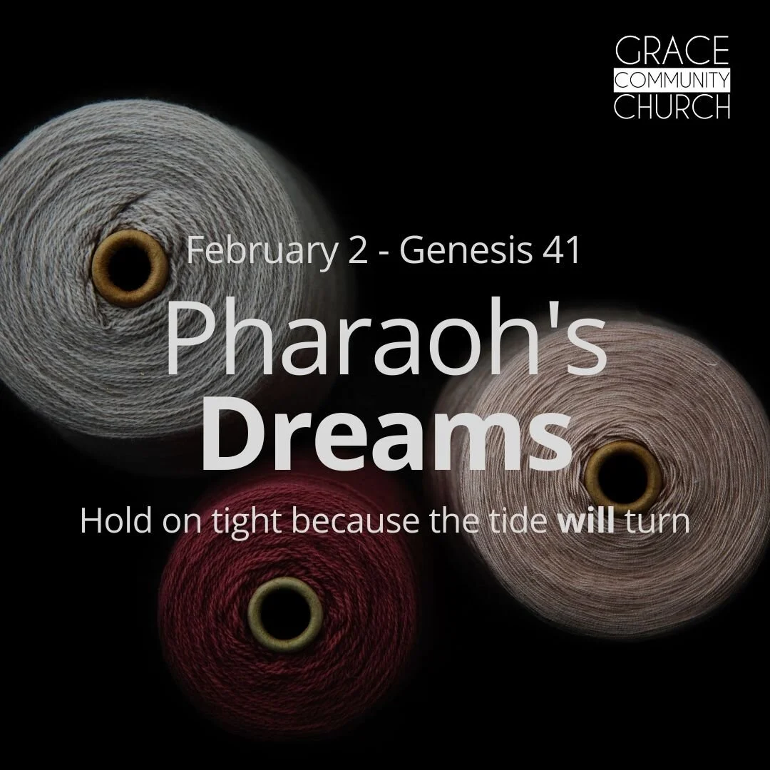 Patriarch, The Impossible Dream: Part 5