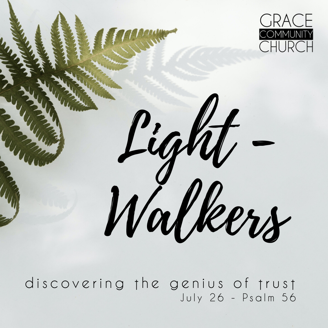 Summer in the Psalms: Part 5 episode artwork