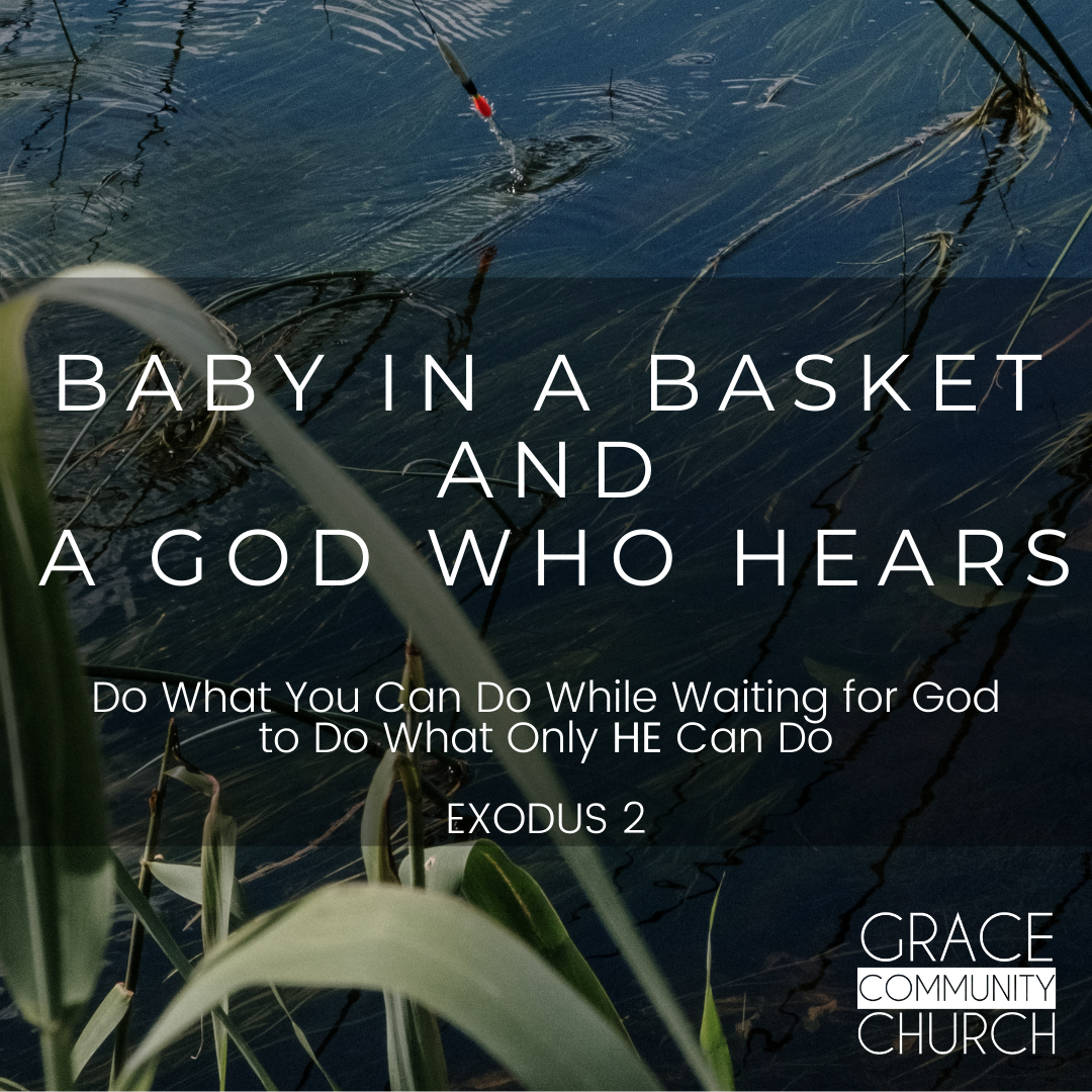 Exodus Week 2: Baby in a Basket & a God who Hears episode artwork