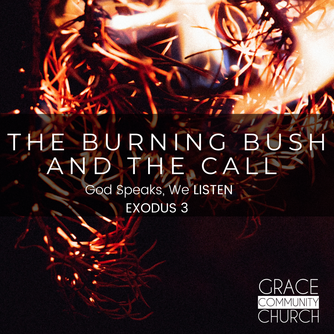 Exodus Week 3: The Burning Bush & the Call episode artwork