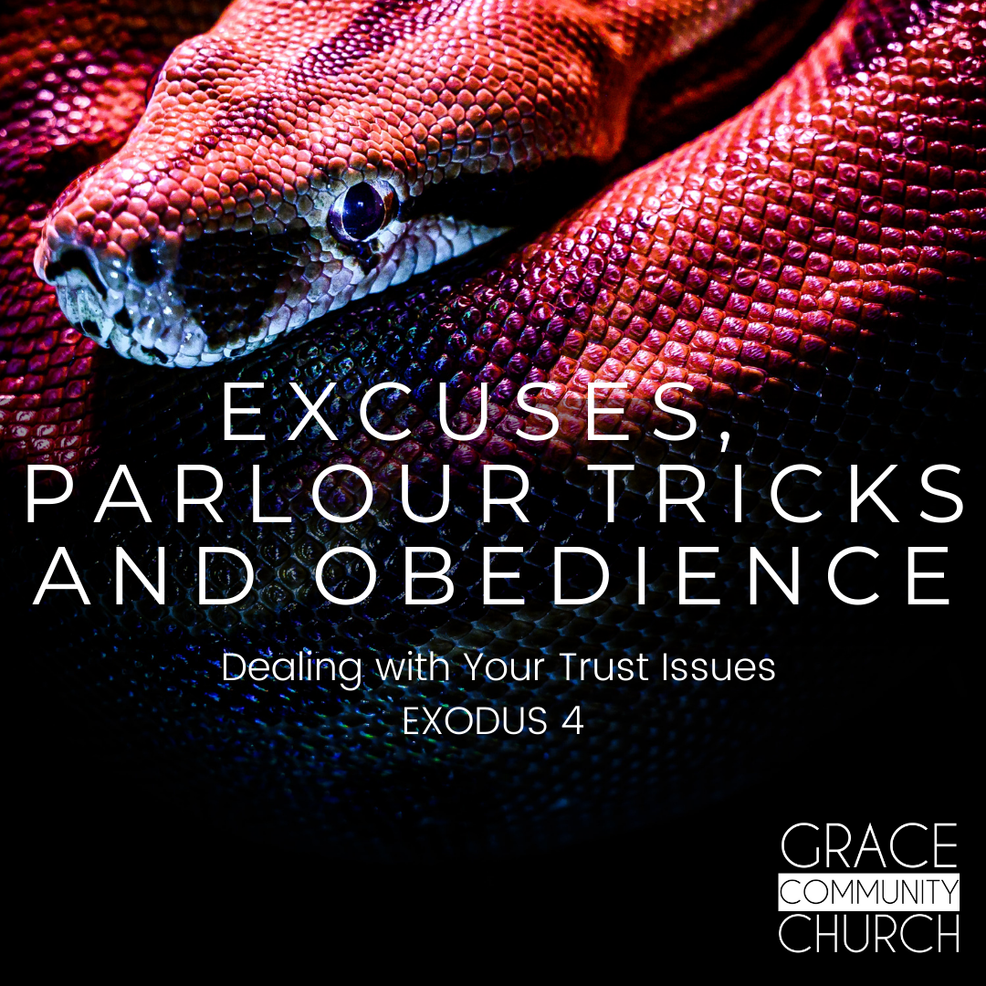 Exodus Week 4: Excuses, Parlour Tricks & Obedience episode artwork