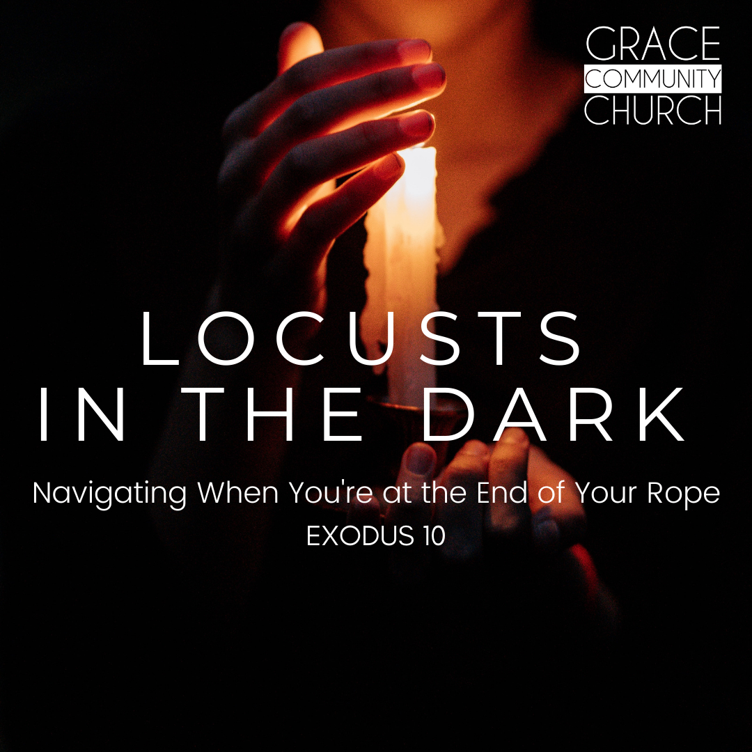 Exodus 10: Locusts in the Dark episode artwork