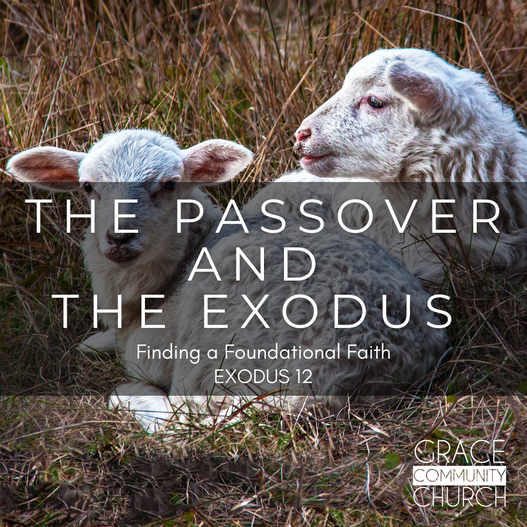 Exodus 12: The Passover & The Exodus episode artwork