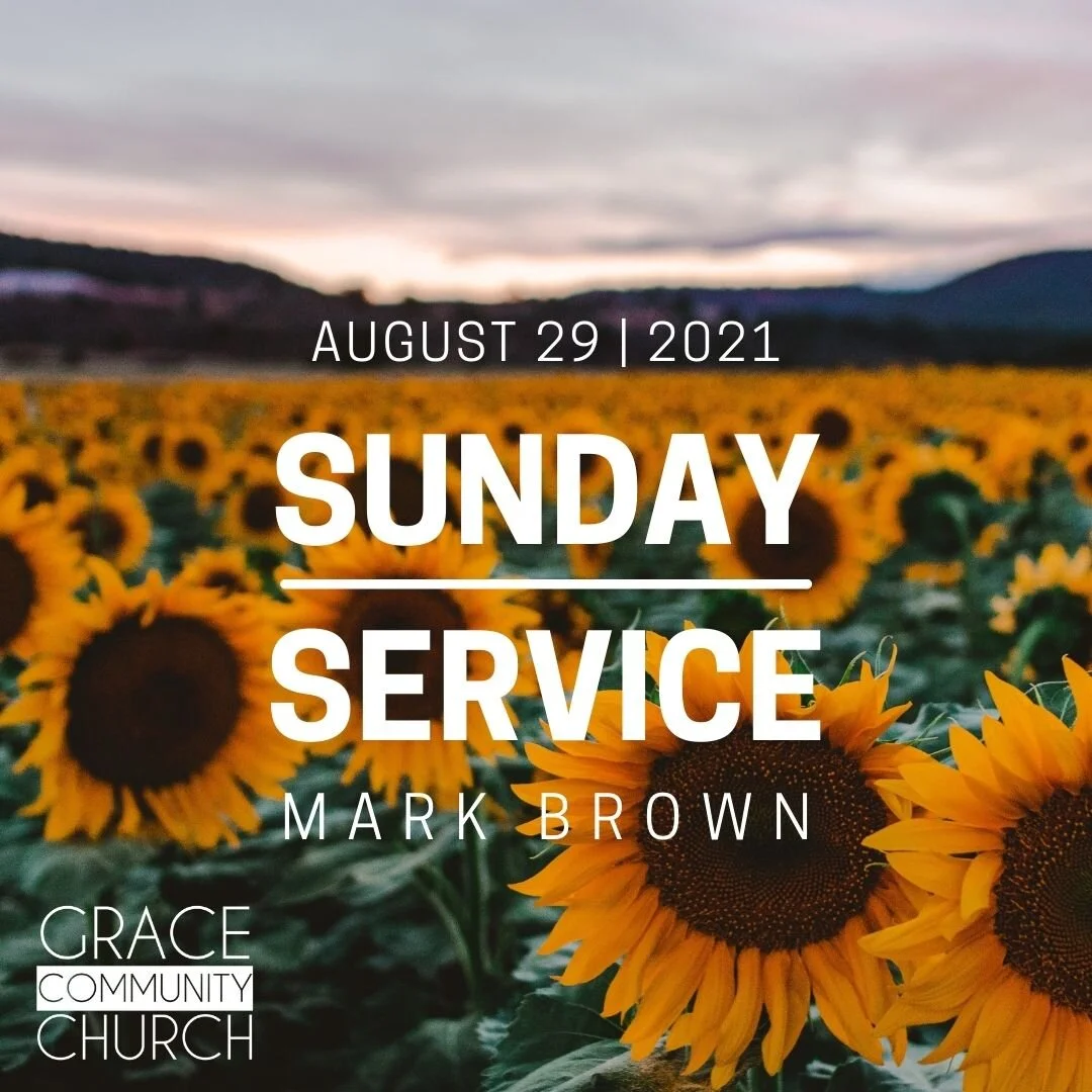 Sunday August 29th: Mark Brown episode artwork