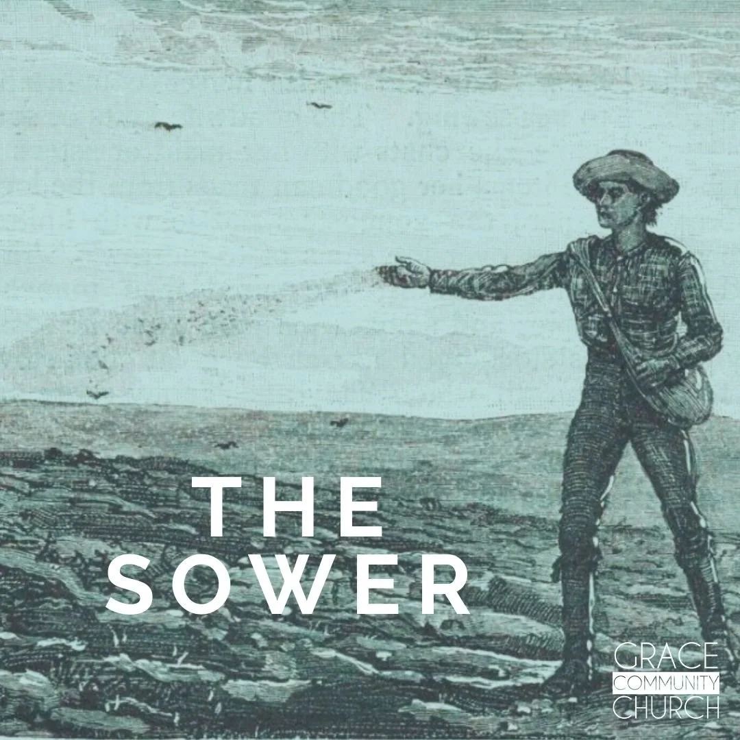 The Parable of the Sower episode artwork