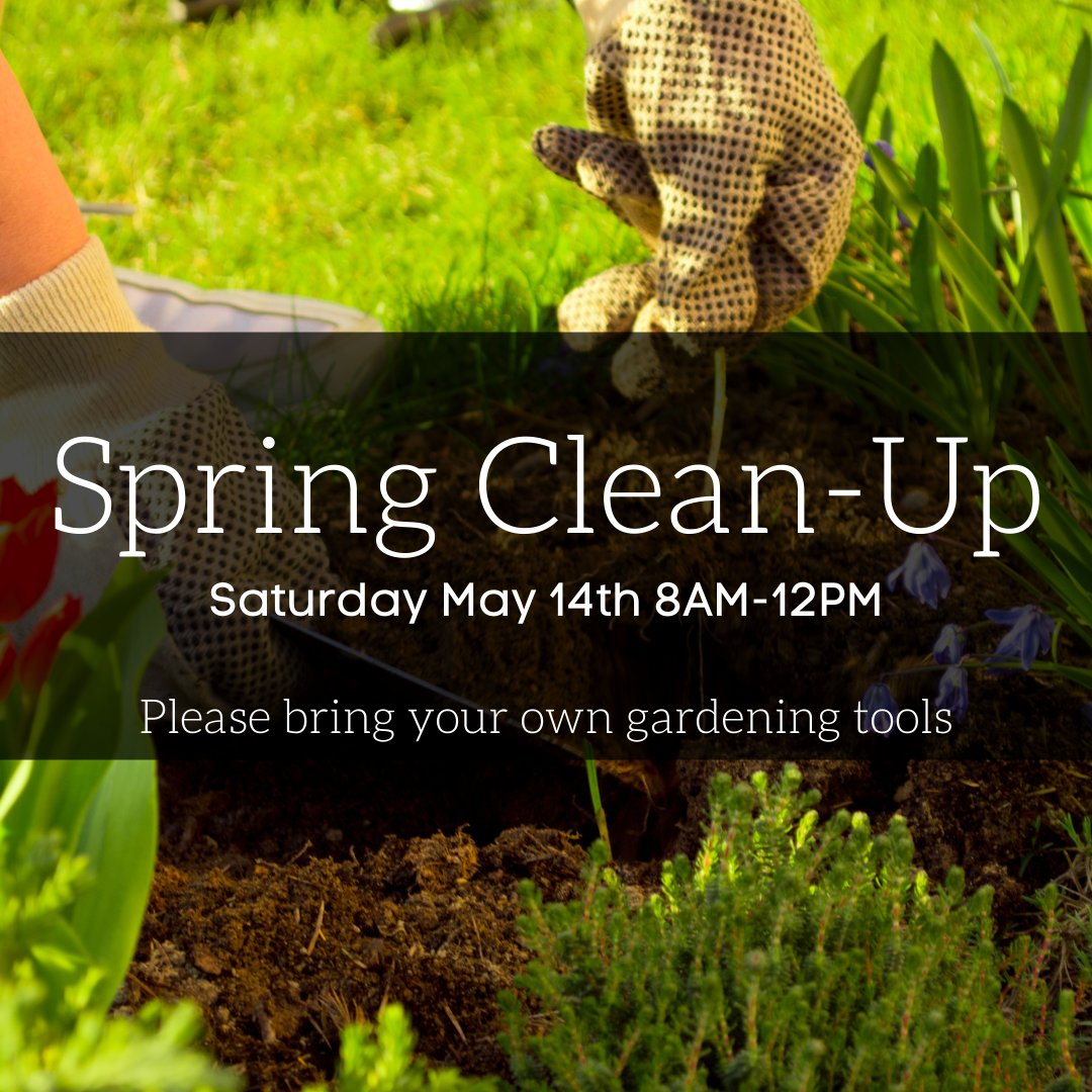 Spring Clean Up