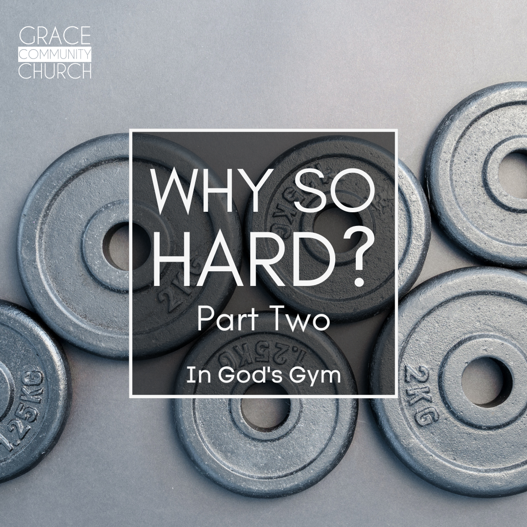 Why So Hard?: Part Two episode artwork