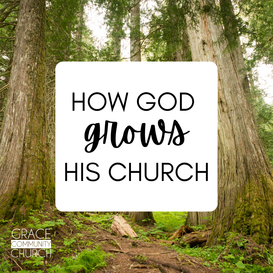 How God Grows His Church episode artwork