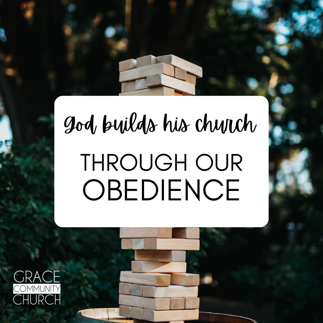 Through Our Obedience episode artwork