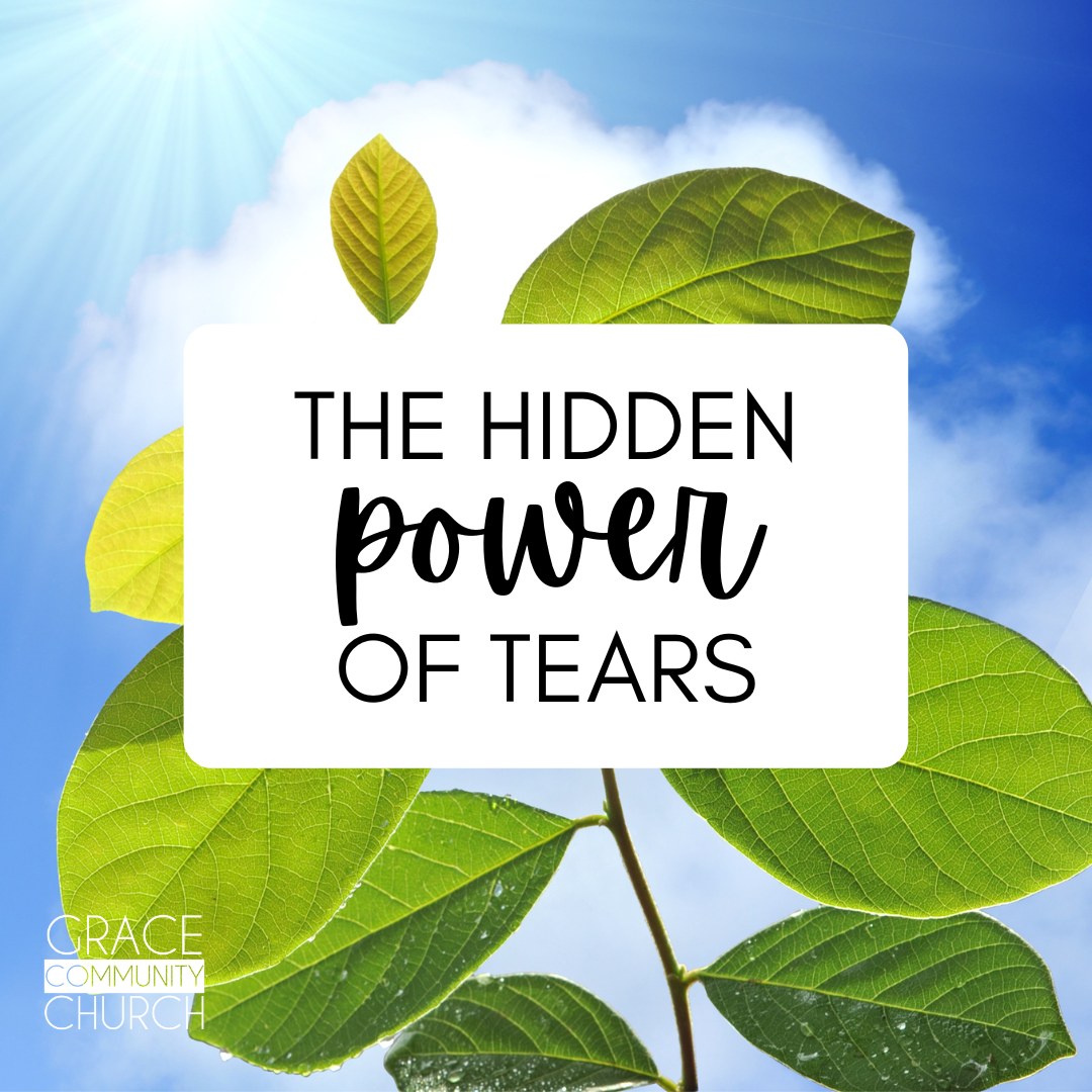 The Hidden Power of Tears episode artwork