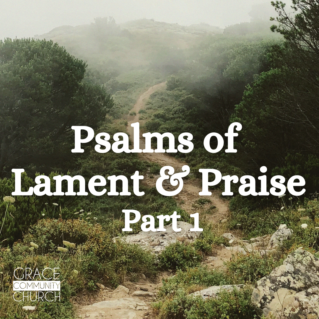 Psalms of Lament & Praise: Part One episode artwork