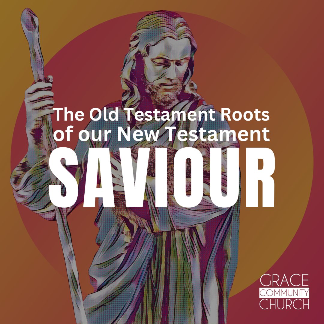 The Old Testament Roots of our New Testament Saviour episode artwork