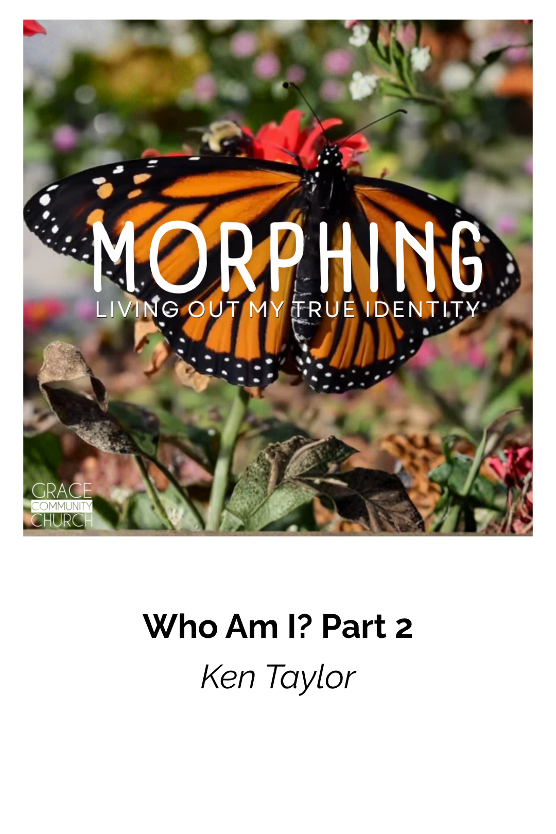 Who Am I? Part 2 episode artwork