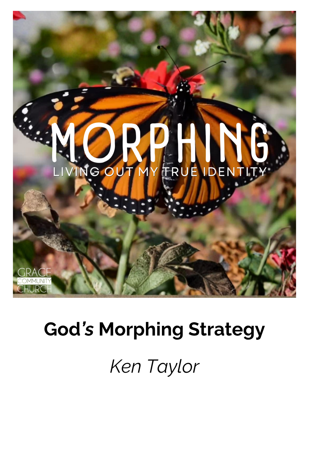 God's Morphing Strategy