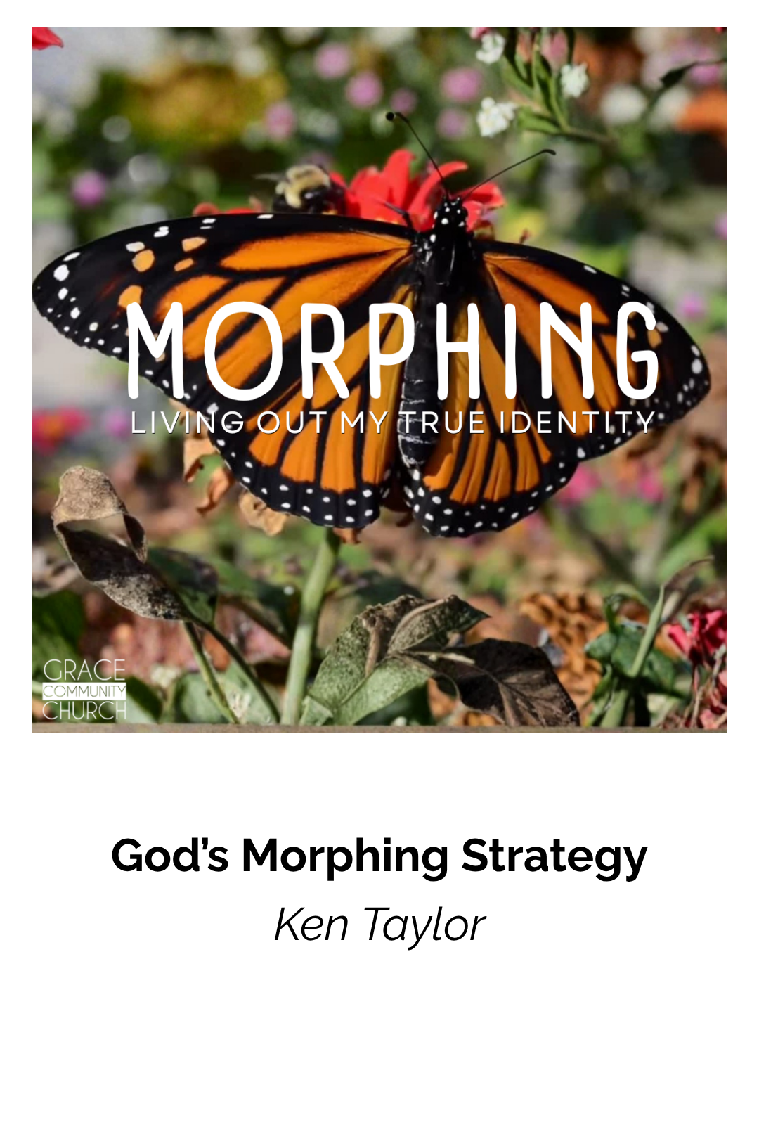 God's Morphing Strategy episode artwork