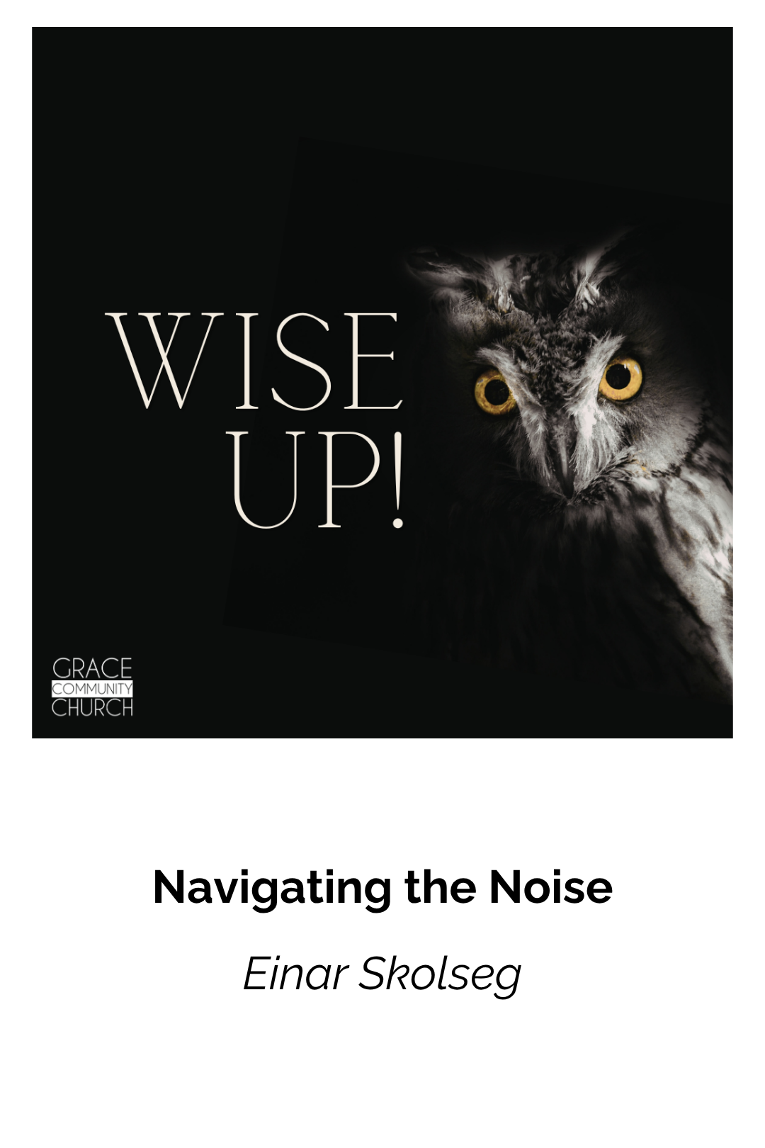 Navigating the Noise