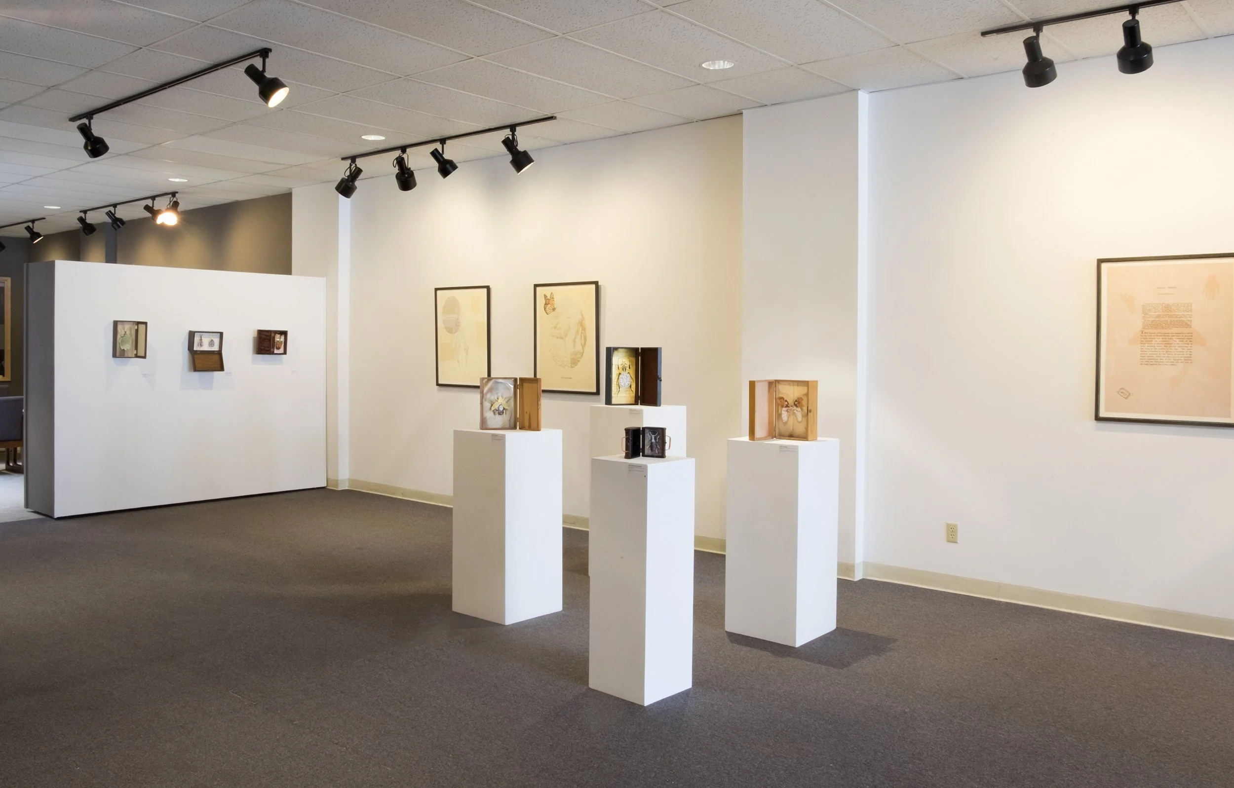 Reconfigure: MacRostie Art Center