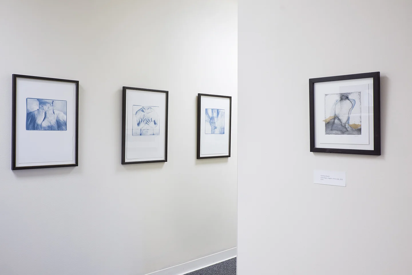 Installation view from Emerging Photographers: 2016 at Duluth Art Institute