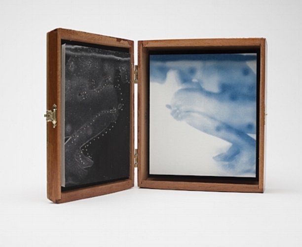 cyanotype, inkjet and pins in found box