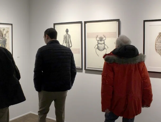 Installation of From the collection at Manifest Gallery in Cincinnati, OH, 2017
