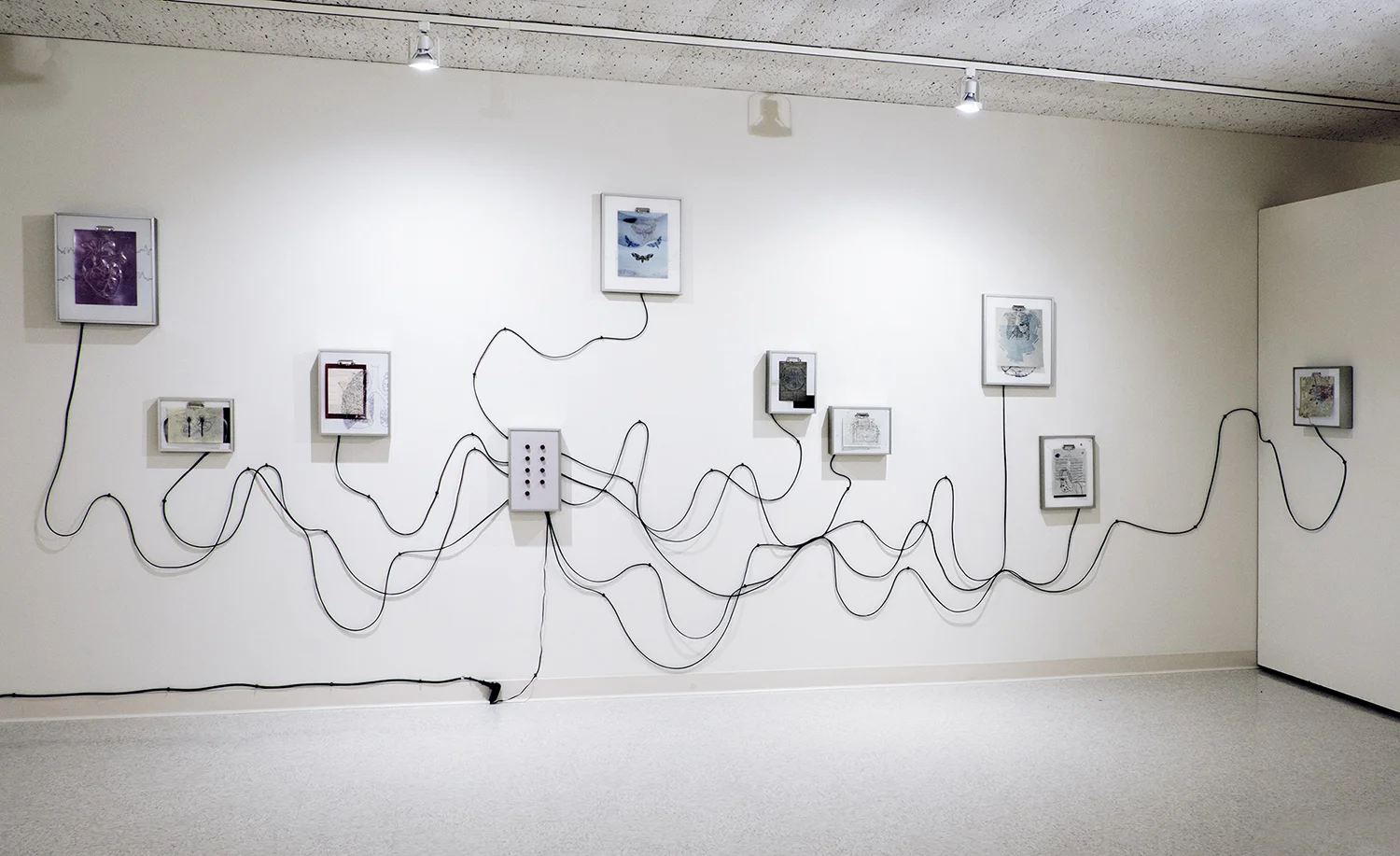 installation view at Tweed Museum of Art, lights off