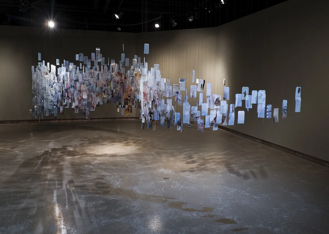 Installation view of Inventory at the Kruk Gallery in Superior, WI, November - December 2018