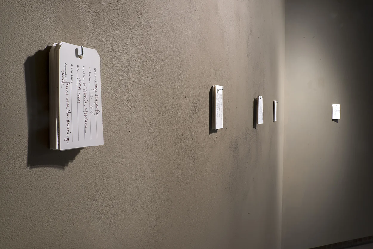 Information tags, Inventory, Kruk Gallery