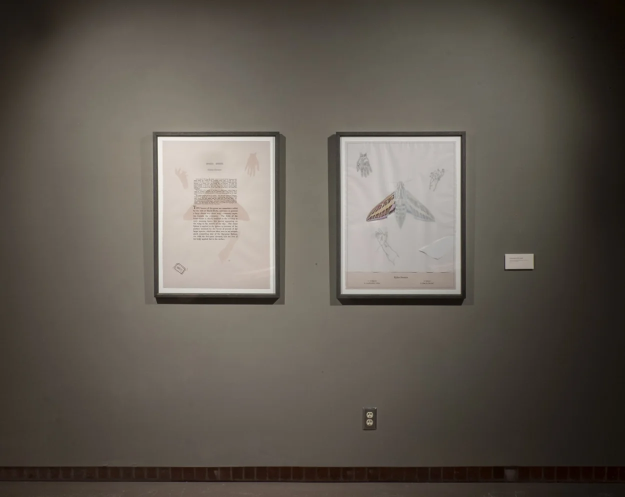 In the palm of the hand on view at the Kruk Gallery, University of Wisconsin, Superior, 2018