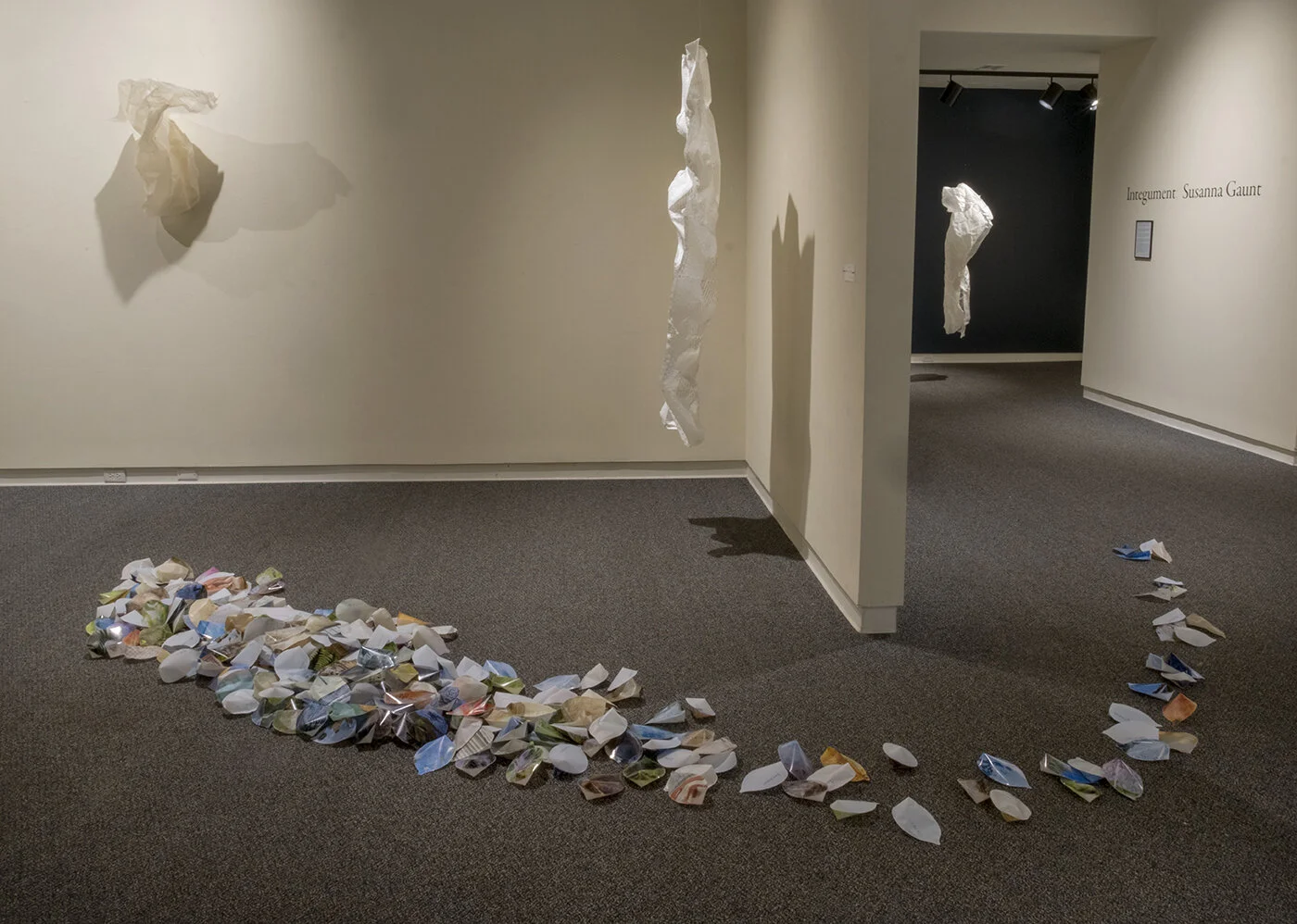 Exhibit view of “Disperse” (seeds), pieces from “Moult” and the weaving, “Almanac.”