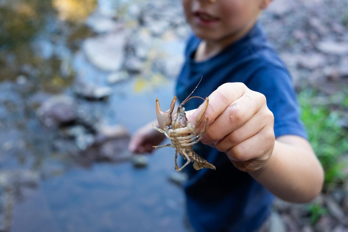 Love Letters to Lester: I have such fond memories of the exploring the Lester and Amity rivers with my boys. Many moments of wonder and discovery. 

Share your stories of what you love about the Lester/Lakeside neighborhood at this year&rsquo;s May F