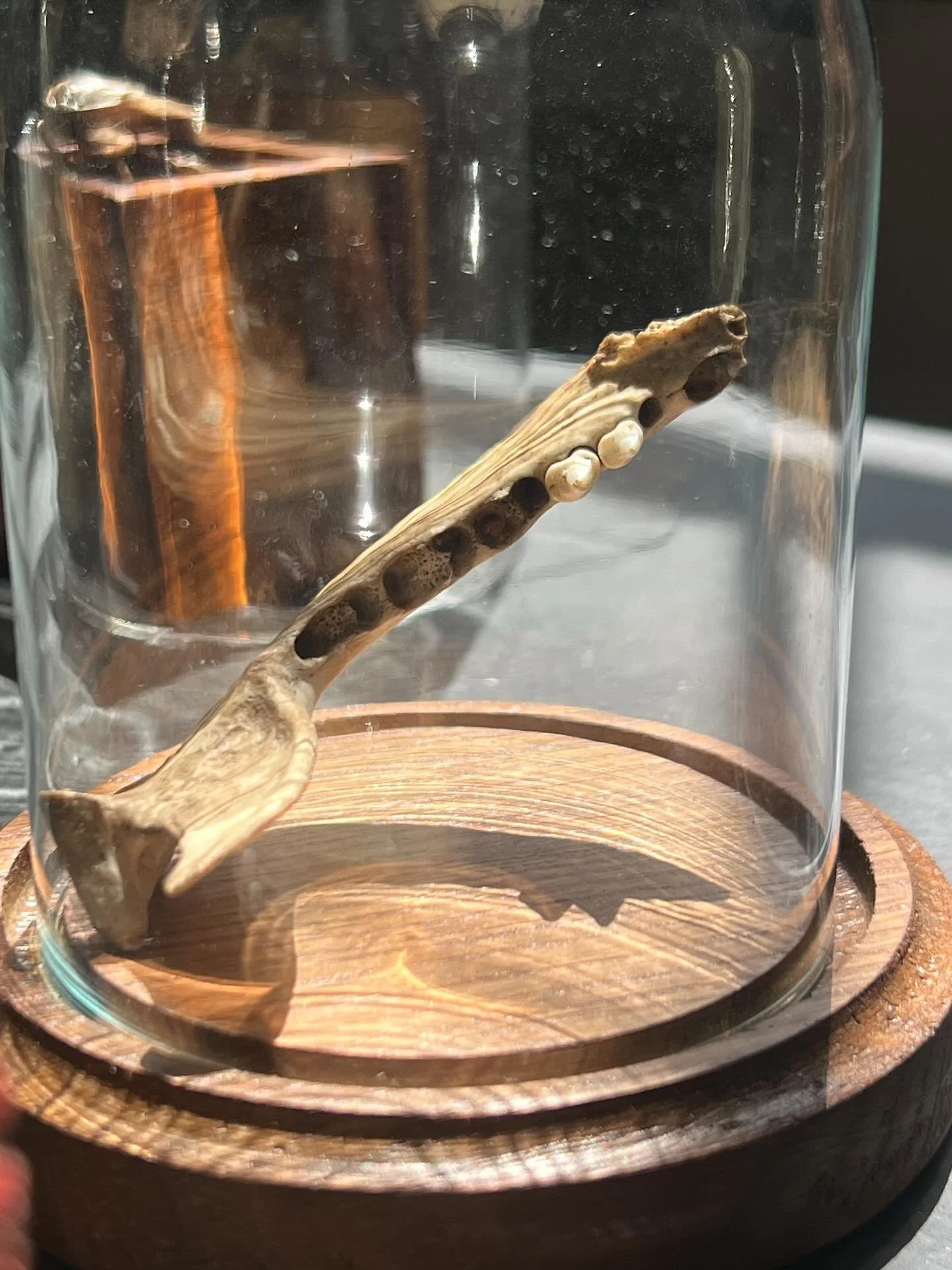 LAST WEEK!
(Re)Collect is on view for a few more days at the Douglas County Historical Museum in Superior, WI.
Open today! 10-6
1101 John Avenue

Also open Thursday &amp; Friday, 10-6 and Saturday, 10-2

Send me a message if you want to meet up for a