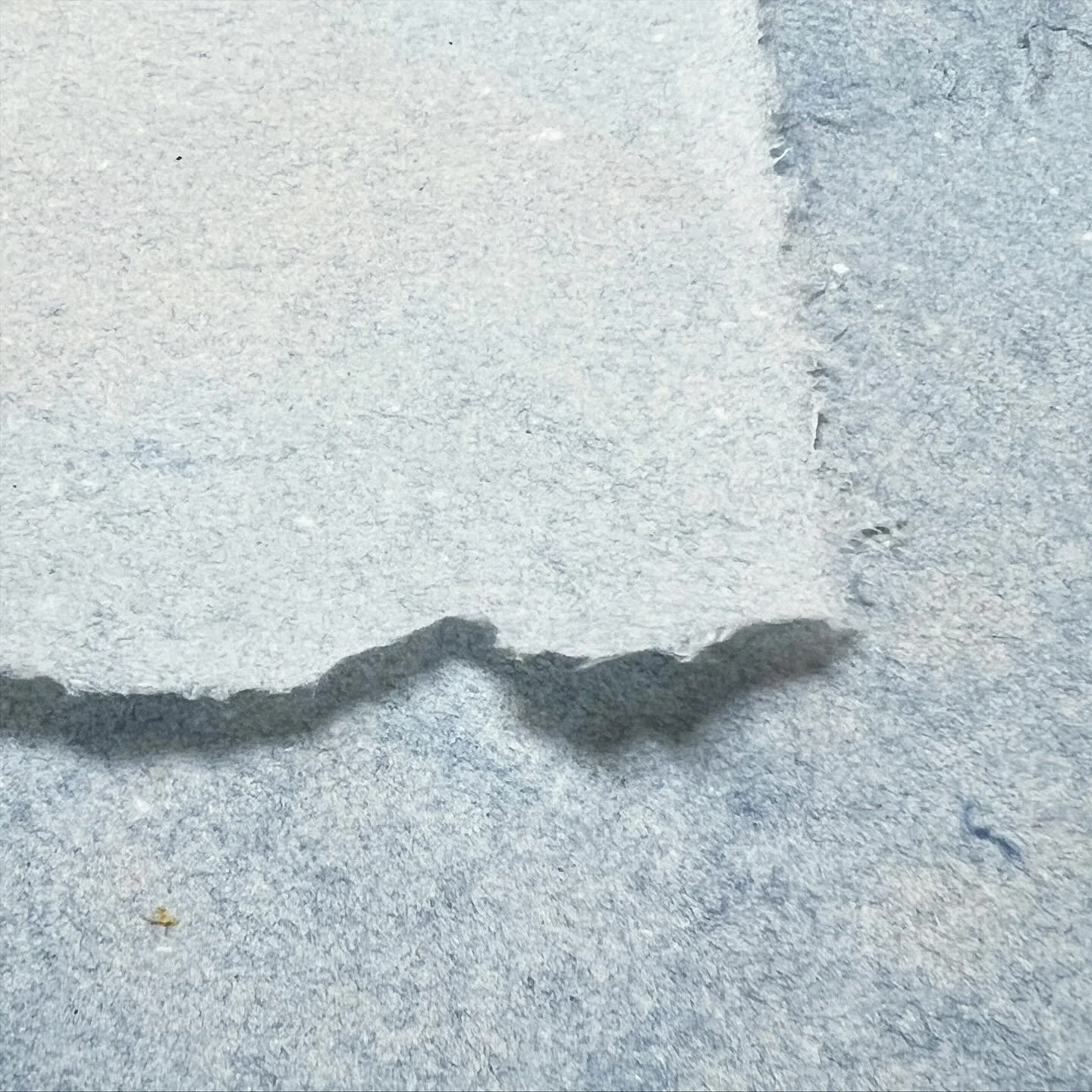 Blue jeans, bamboo and blueberries, oh my!

Join me for the Make Your Own Paper with Items you Already Own course on Saturday, December 6 at @spiritofthelakearts. We will discuss the basics of making paper, introduce fun techniques and give you a cha