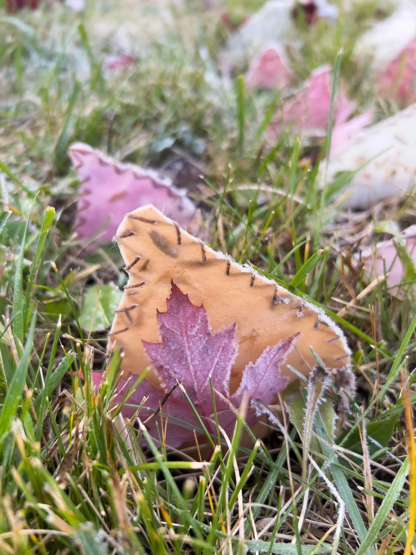 It&rsquo;s high time I start a newsletter. If you&rsquo;re interested in getting updates on any happenings in and out of my studio, such as experiments, exhibits and classes, direct message me your email or contact me via my website. I plan to send t