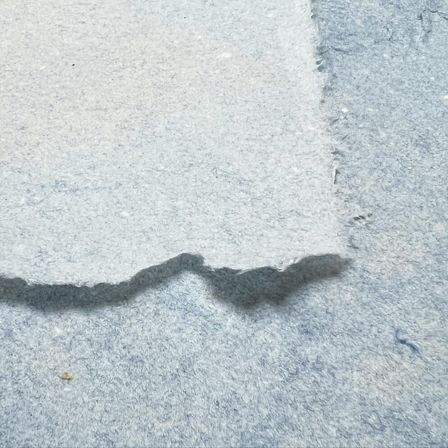 Blue jeans, bamboo and blueberries, oh my!

Join me for the Make Your Own Paper with Items you Already Own course on Saturday, December 6 at @spiritofthelakearts. We will discuss the basics of making paper, introduce fun techniques and give you a cha