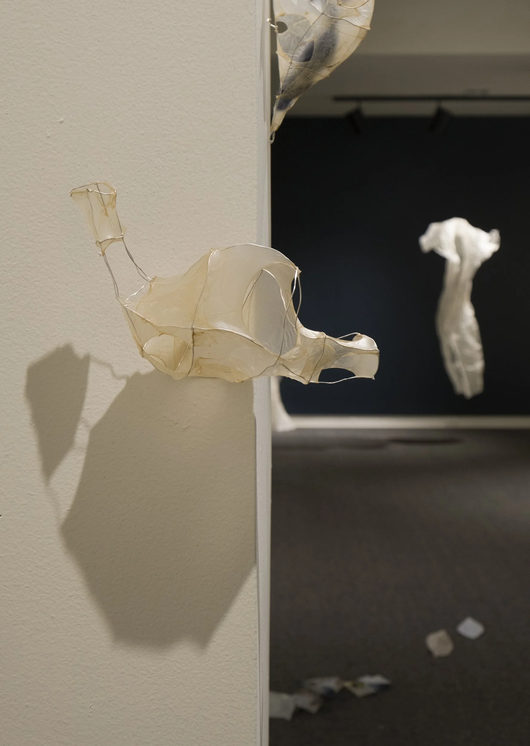 Integument: Duluth Art Institute George Morrison