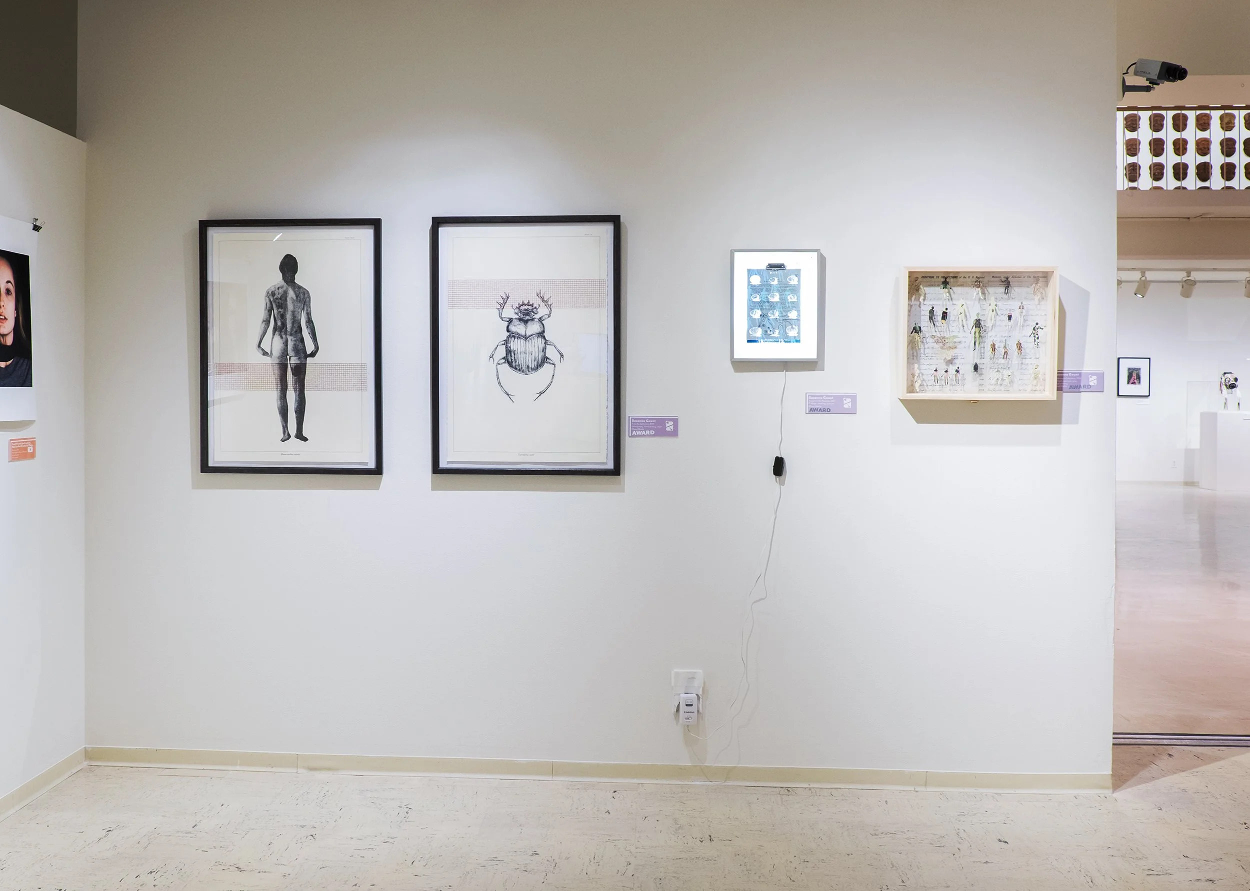 From the Collection, Equipment for Parasite and Additions to Collections, all part of the Annual Student Exhibit at Tween Art Museum