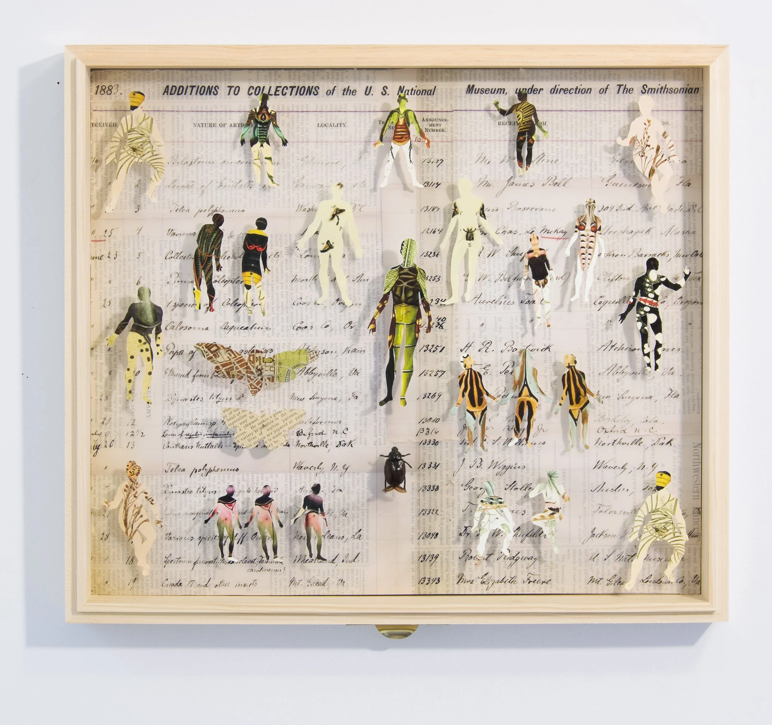 Additions to Collections was chosen for the UMD Fine Arts Purchase Award and is now part of their permanent collection