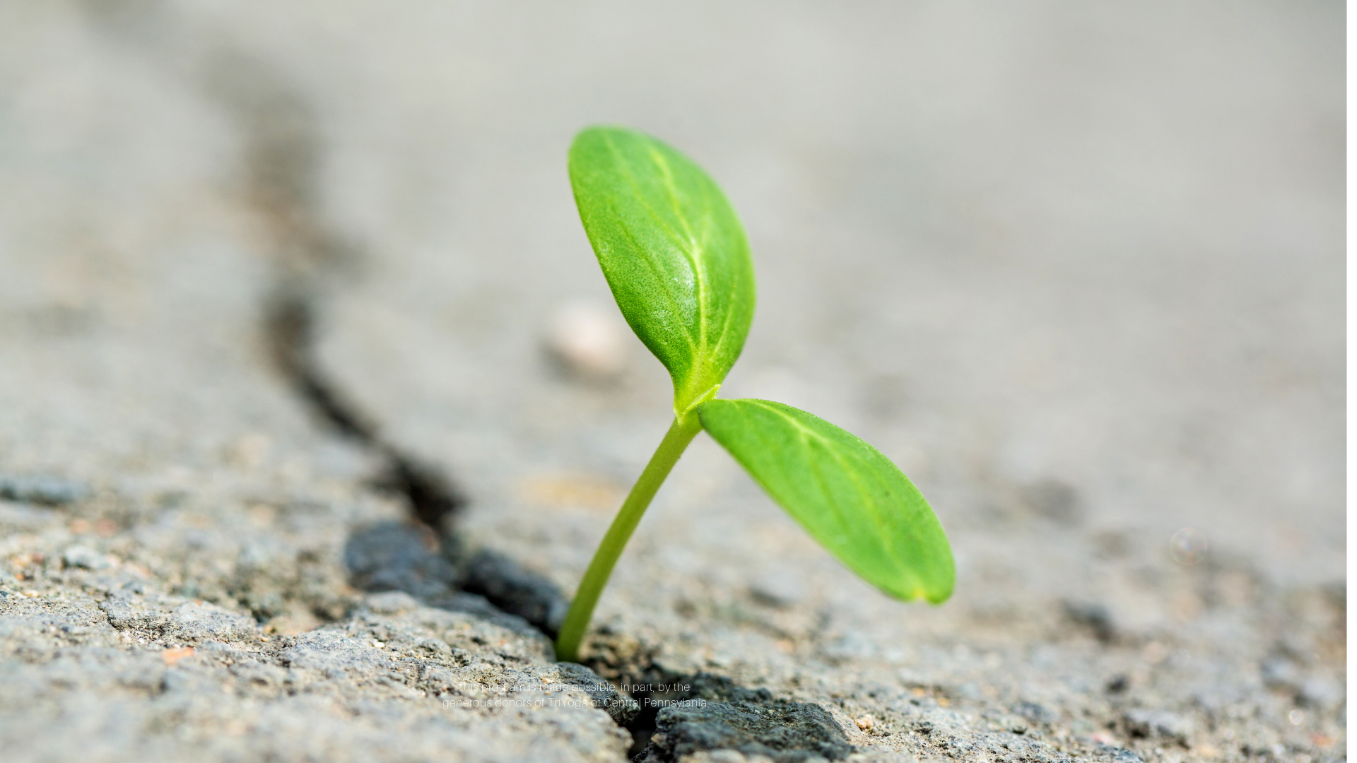 Growth.png