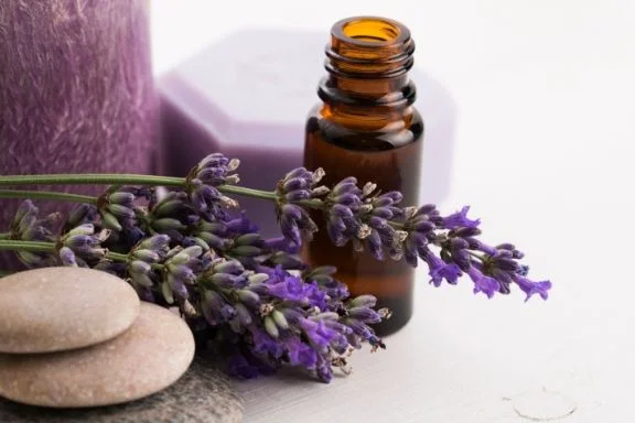 Essential Yoga Lavendar Photo.jpg