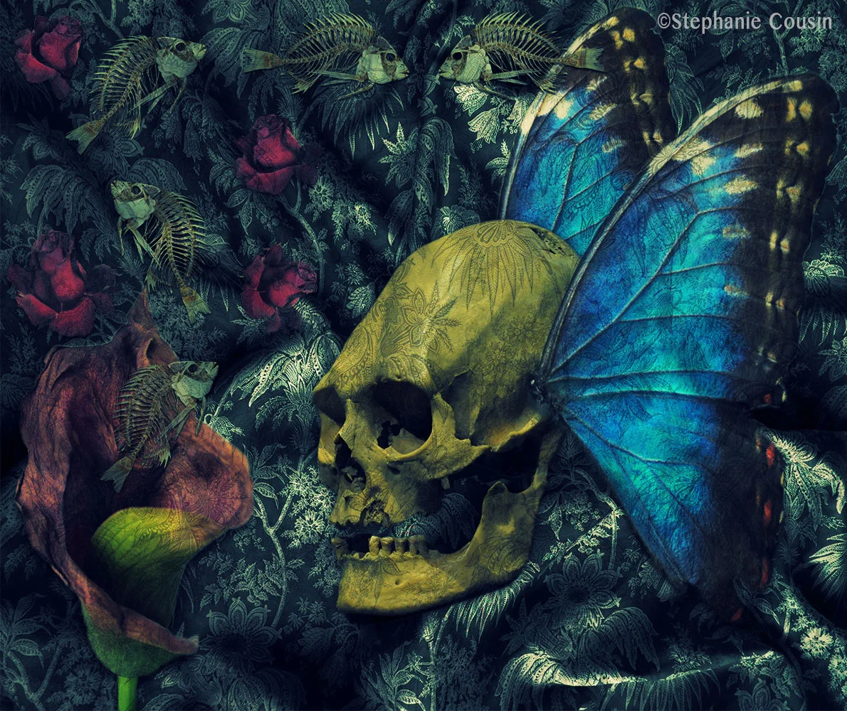 Memento Mori - Skull I