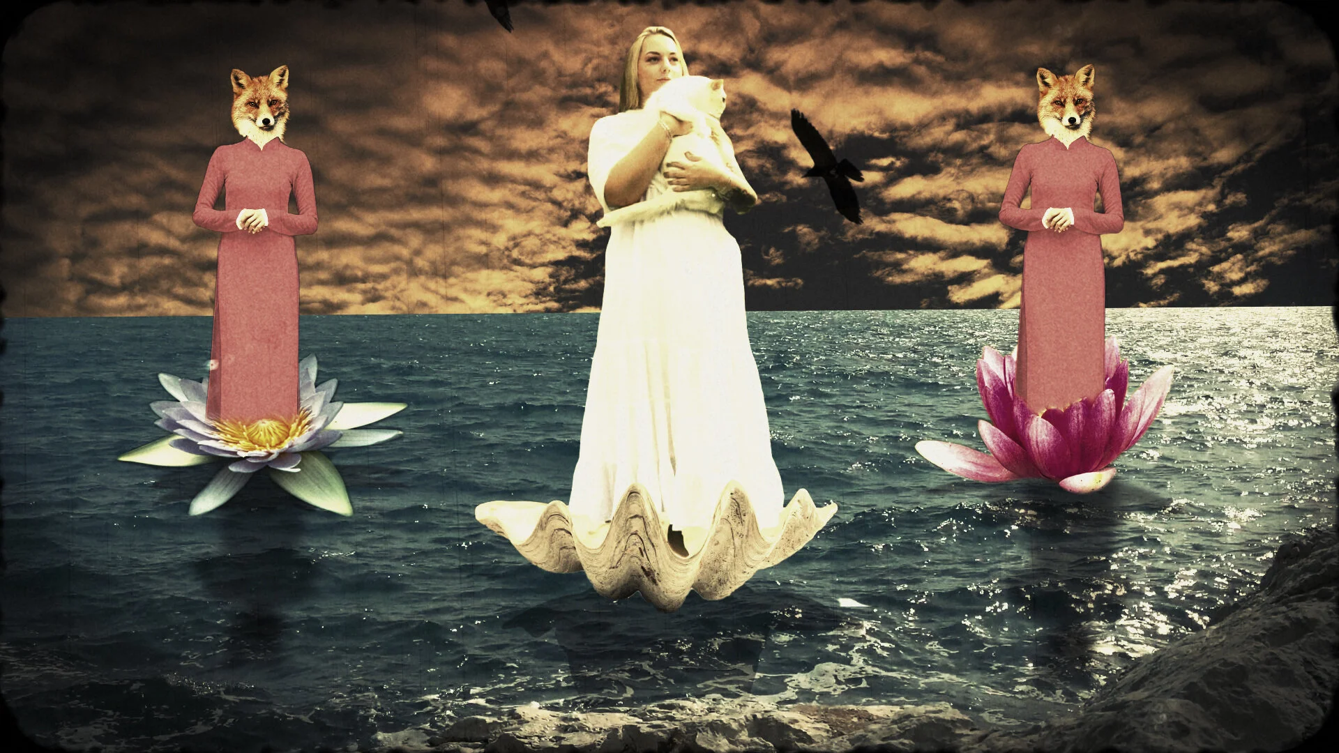 Reviews of my video clip for the musician Michael J Sheehy