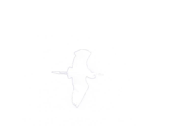Wesley A. Carr Photography LLC