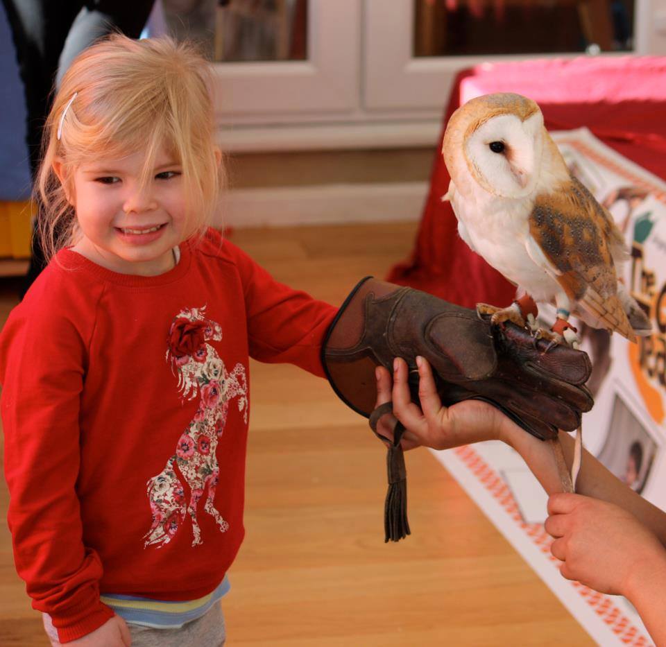 Does a barn owl make noise when she flies?