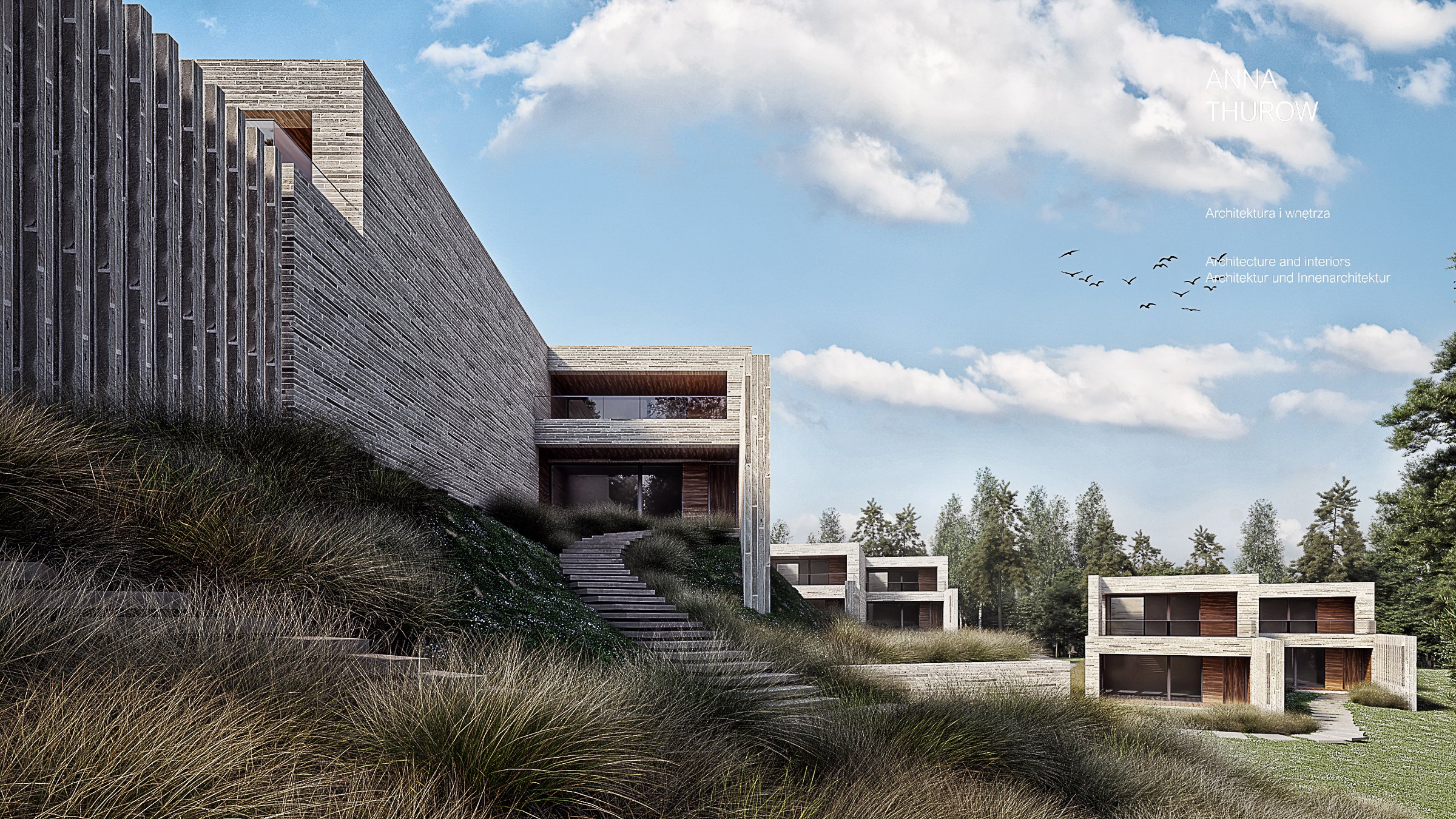 CAM004_Fapt-kopia mod.jpg