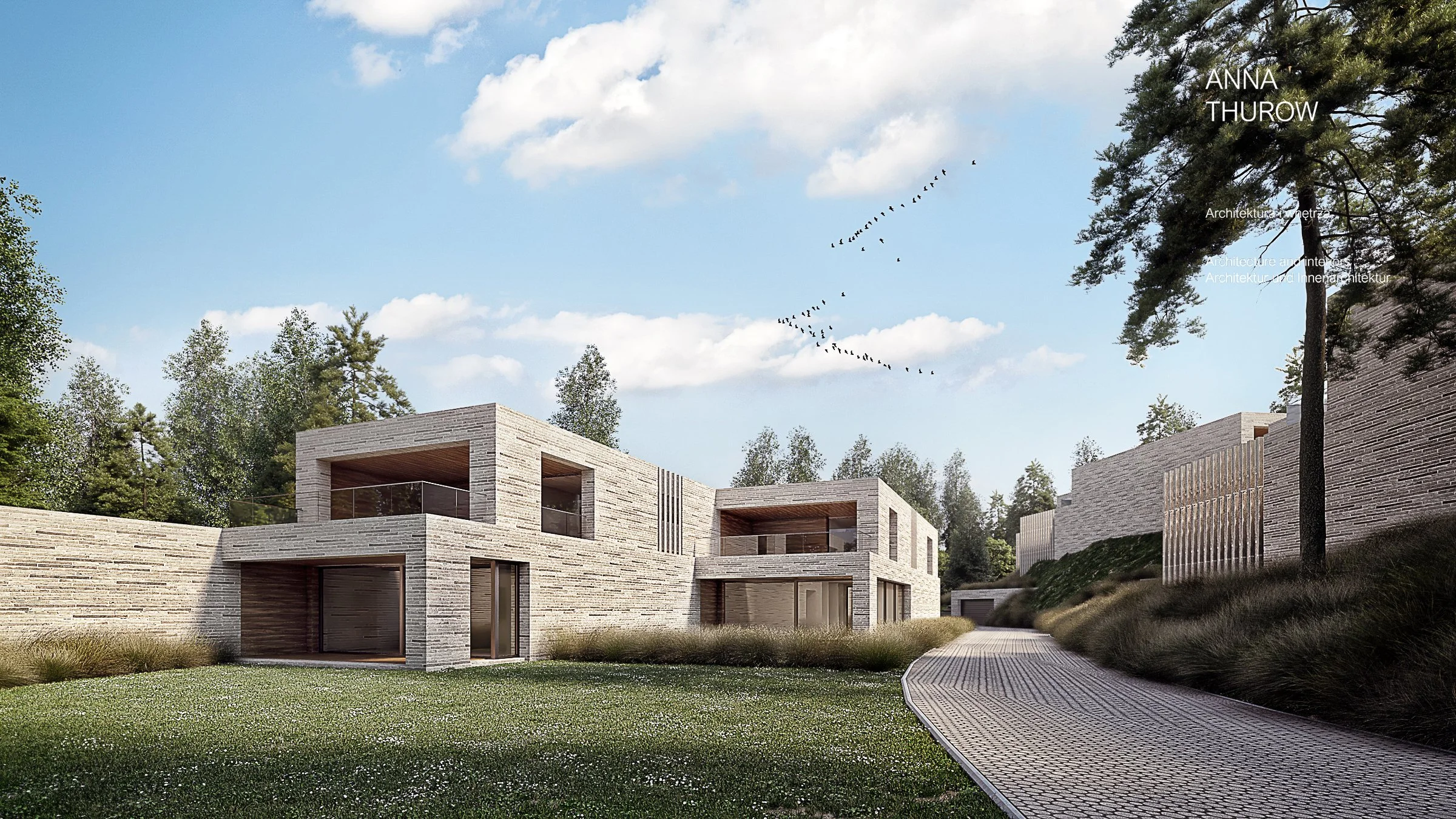 CAM002_Fapt-kopia mod.jpg