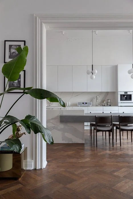 hero image IMG_9273.jpg